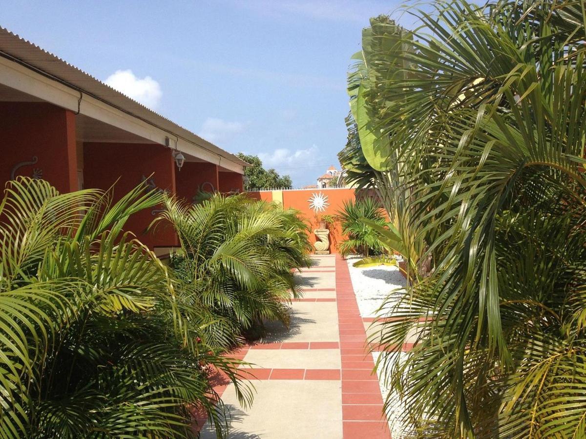 Carinas Studio Apartments Palm Beach Exterior photo