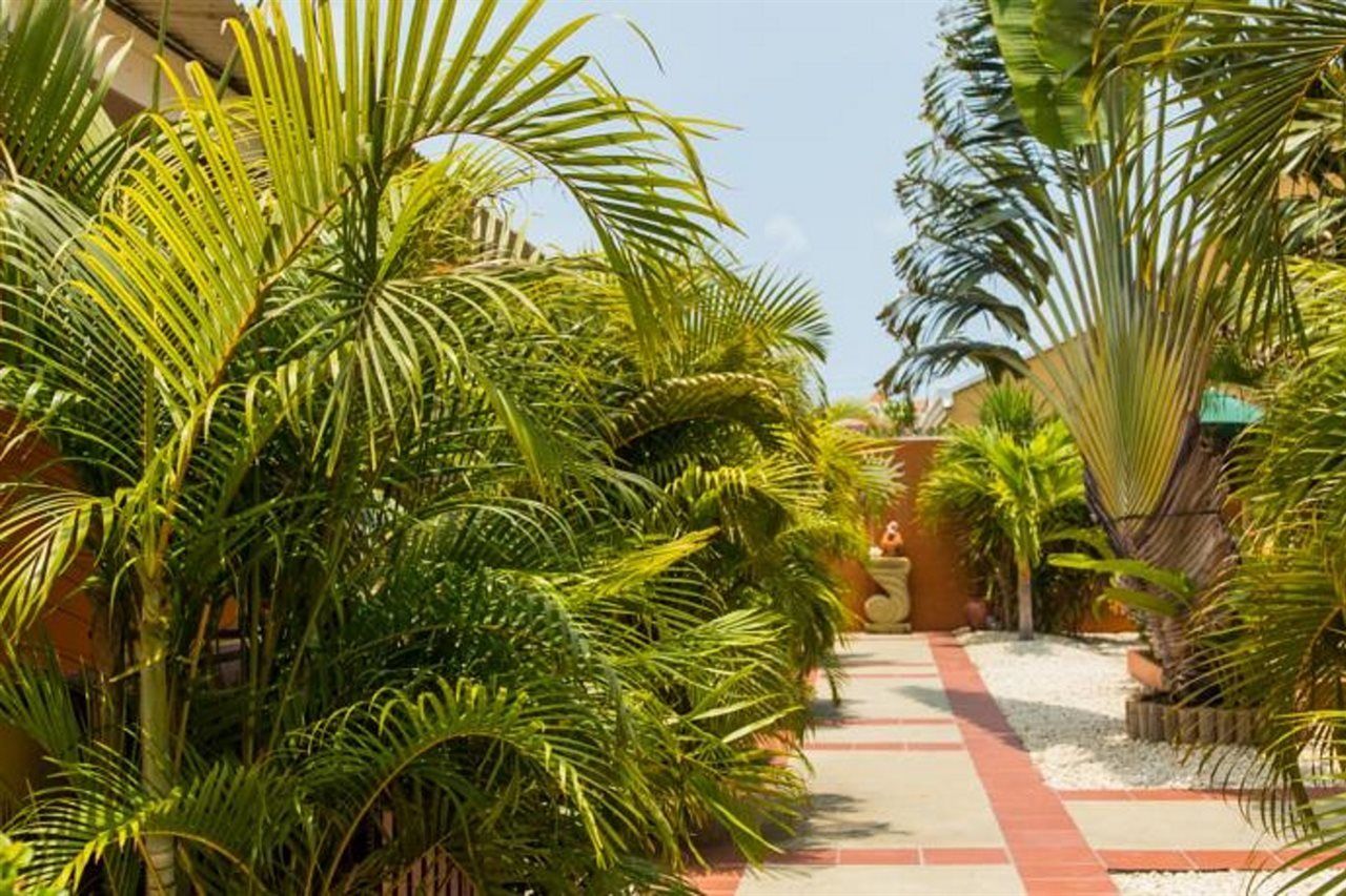 Carinas Studio Apartments Palm Beach Exterior photo